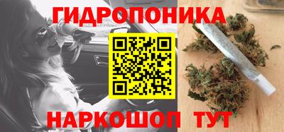 сатива Кандалакша