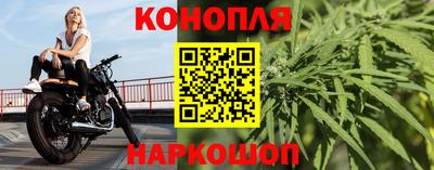 сатива Кандалакша