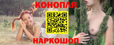 сатива Кандалакша