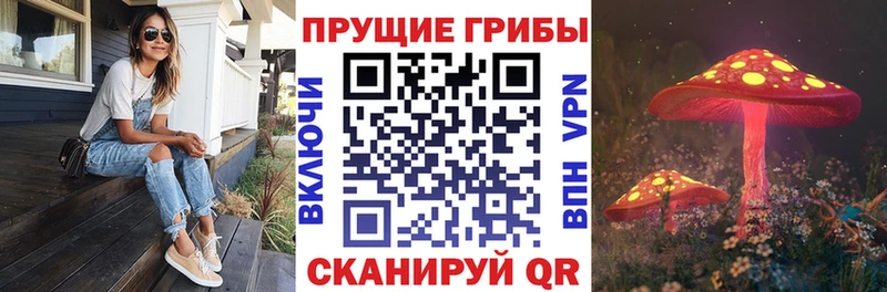 Галлюциногенные грибы Cubensis Лесозаводск