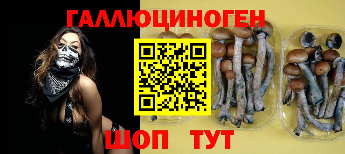 Лесозаводск  Галлюциногенные грибы Cubensis  Галлюциногенные грибы Cubensis  Вход с VPN 